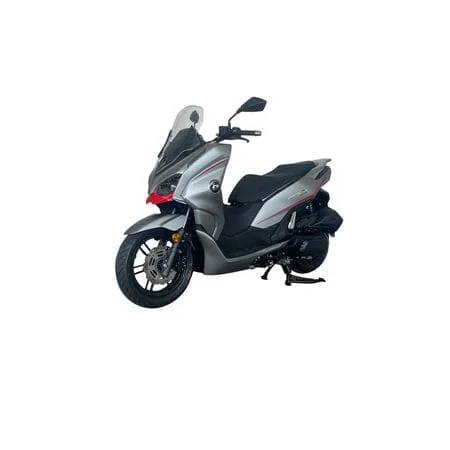 QJMOTOR QJ250T-23H