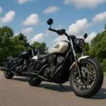 TCV450