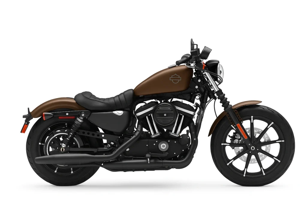Custom Harley-Davidson Sportster