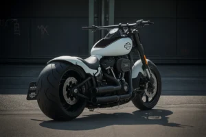 Custom Harley-Davidson Softail Fat Bob